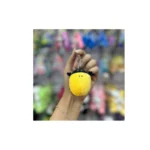 جا کلیدی فانتزی کلاغ